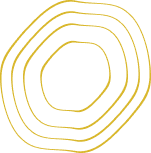 Consulta Inicial y Conceptualización.